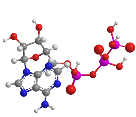 atpmolecule